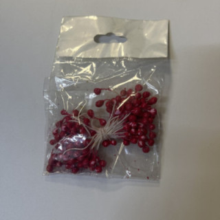 Kırmızı renk pasta tomurcuğu