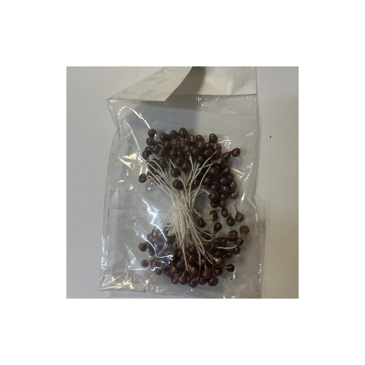 Kahverengi renk pasta tomurcuğu